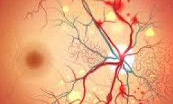 Professional team of six standing in front of Horvath Vision Care sign.