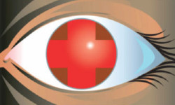 Professional team of six standing in front of Horvath Vision Care sign.